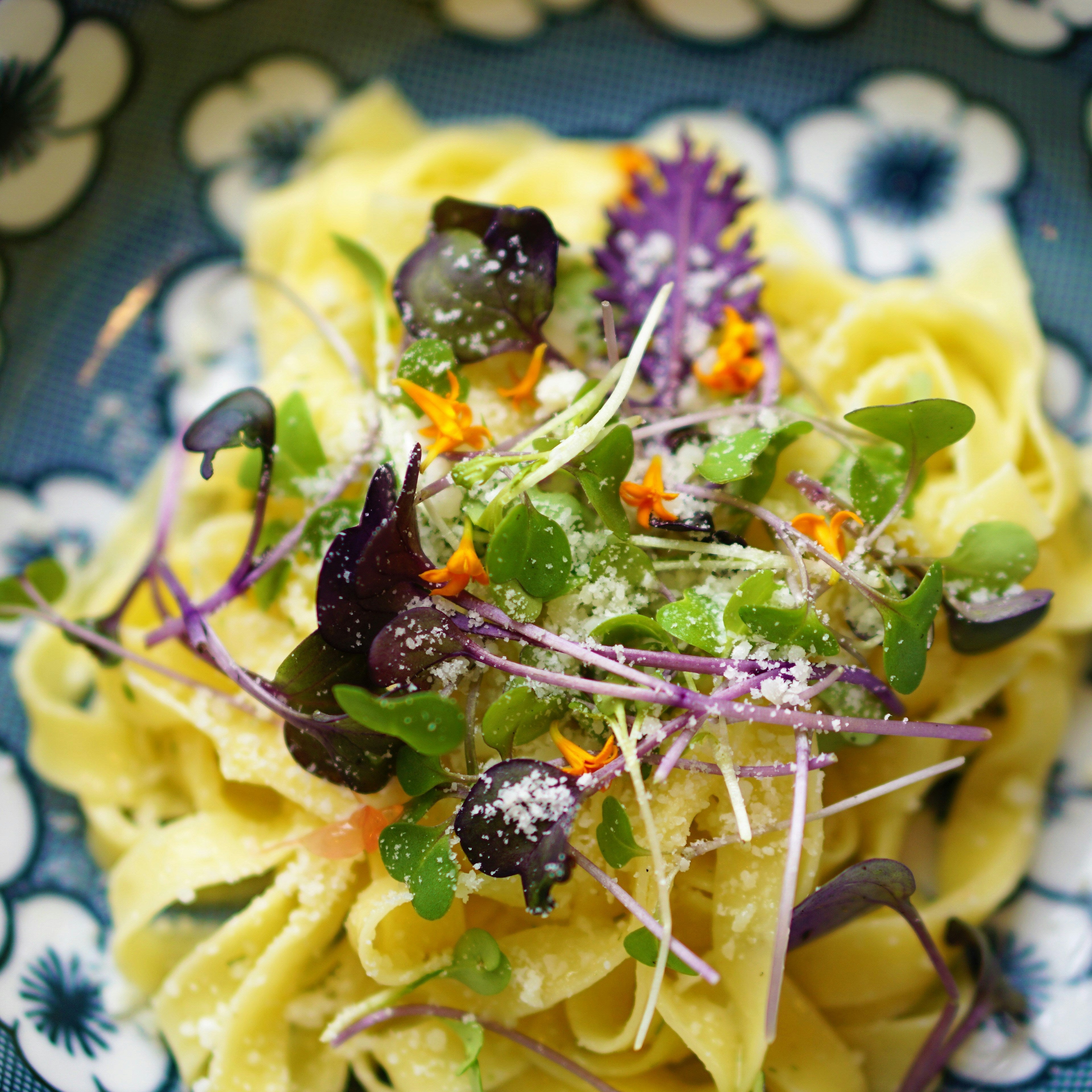 Long, flat pasta topped with green and purple microgreens on a blue flowery plate