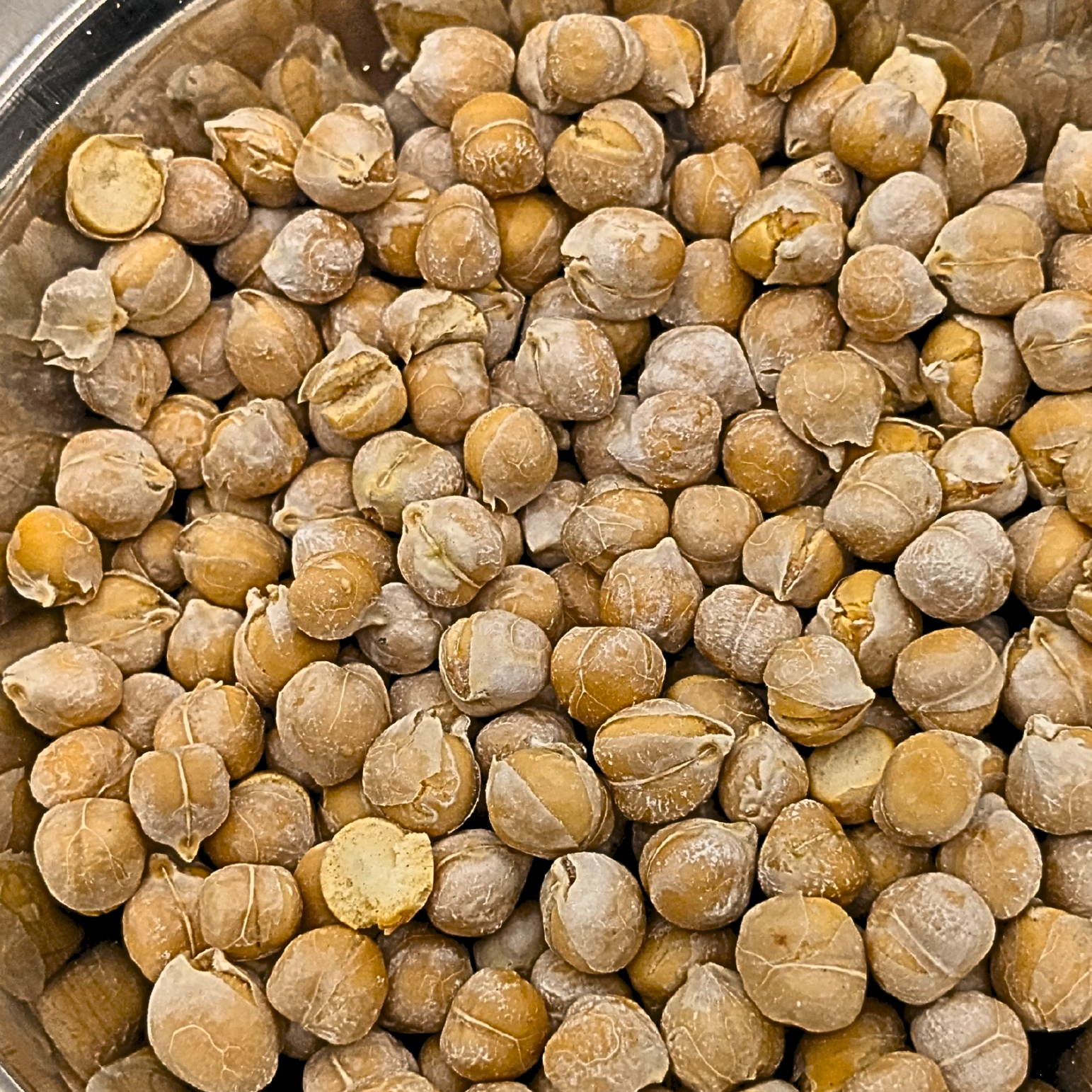 A top-down view of freeze dried chickpeas filling a stainless steel bowl.