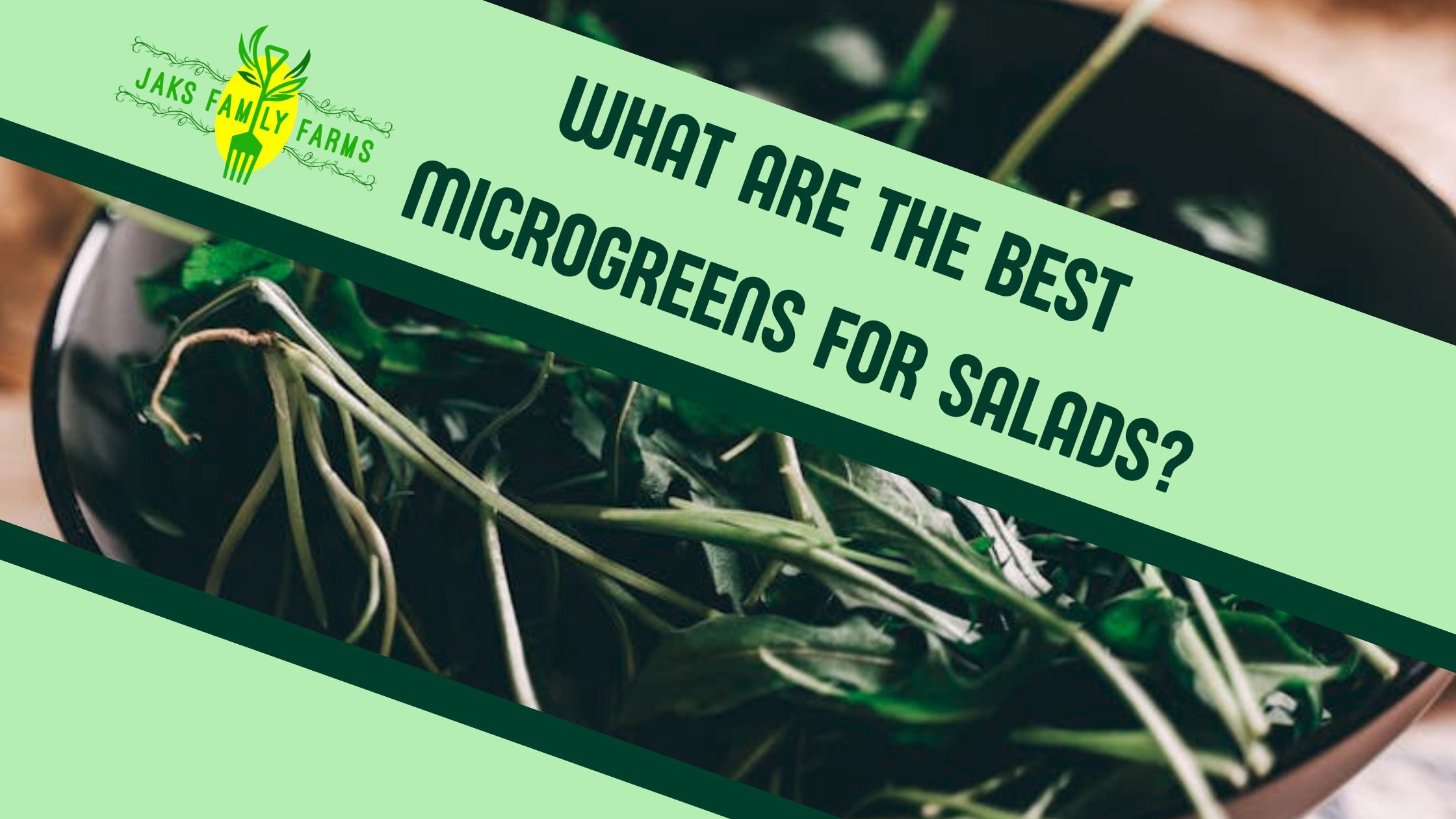 Text with What are the best microgreens for salads over a bowl of microgreens
