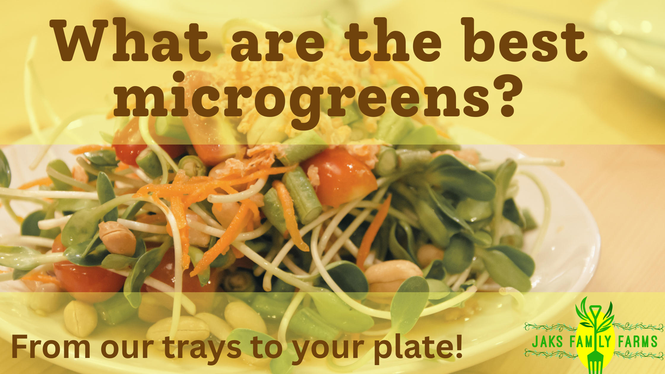 Text reads "what are the best microgreens" with subtext that says "from our trays to your plate!" A logo that says "Jaks Family Farms" is in the corner. The background is a microgreen salad.