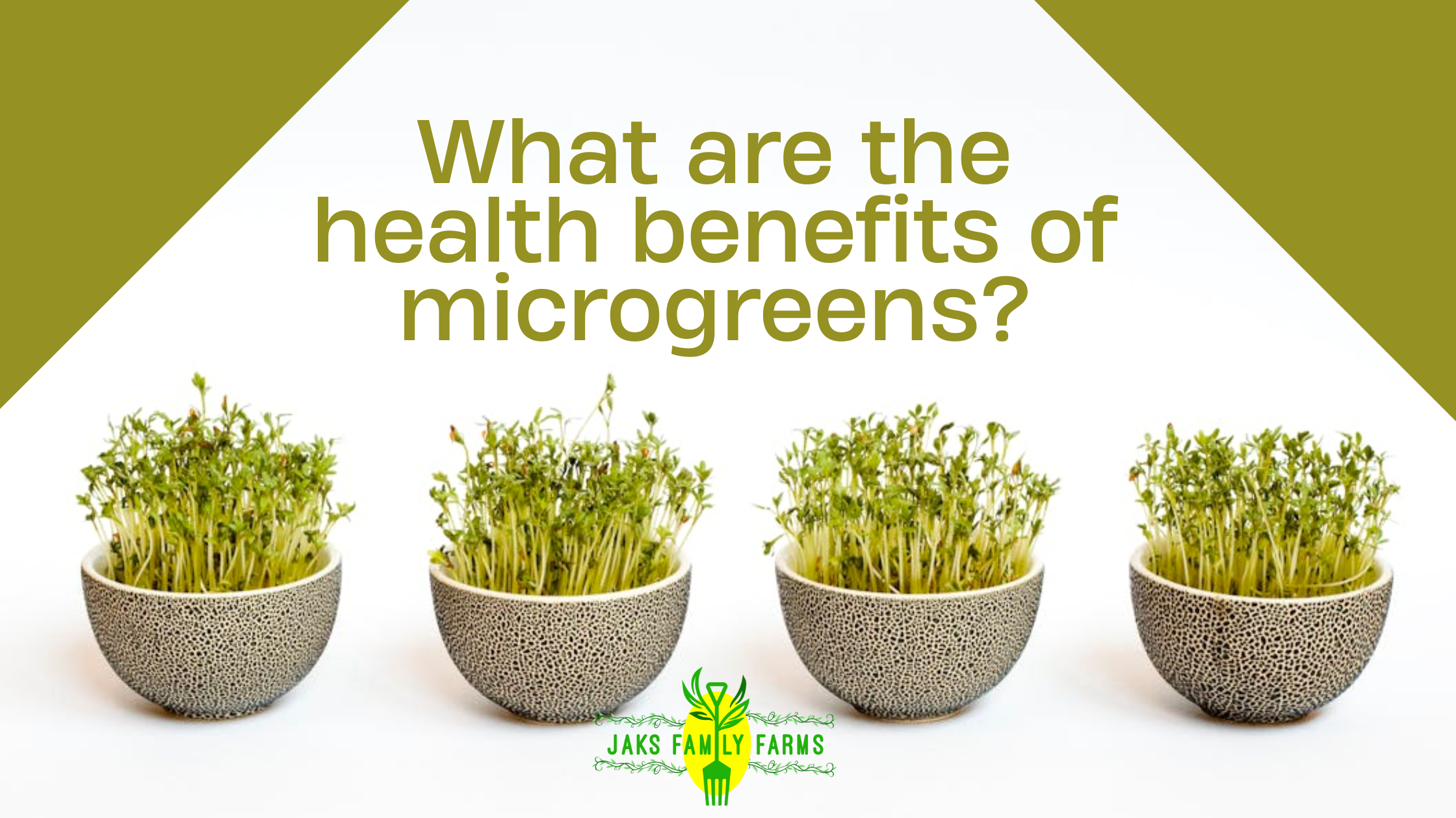 Text reading "what are the health benefits of microgreens" with four potten microgreens against a white background