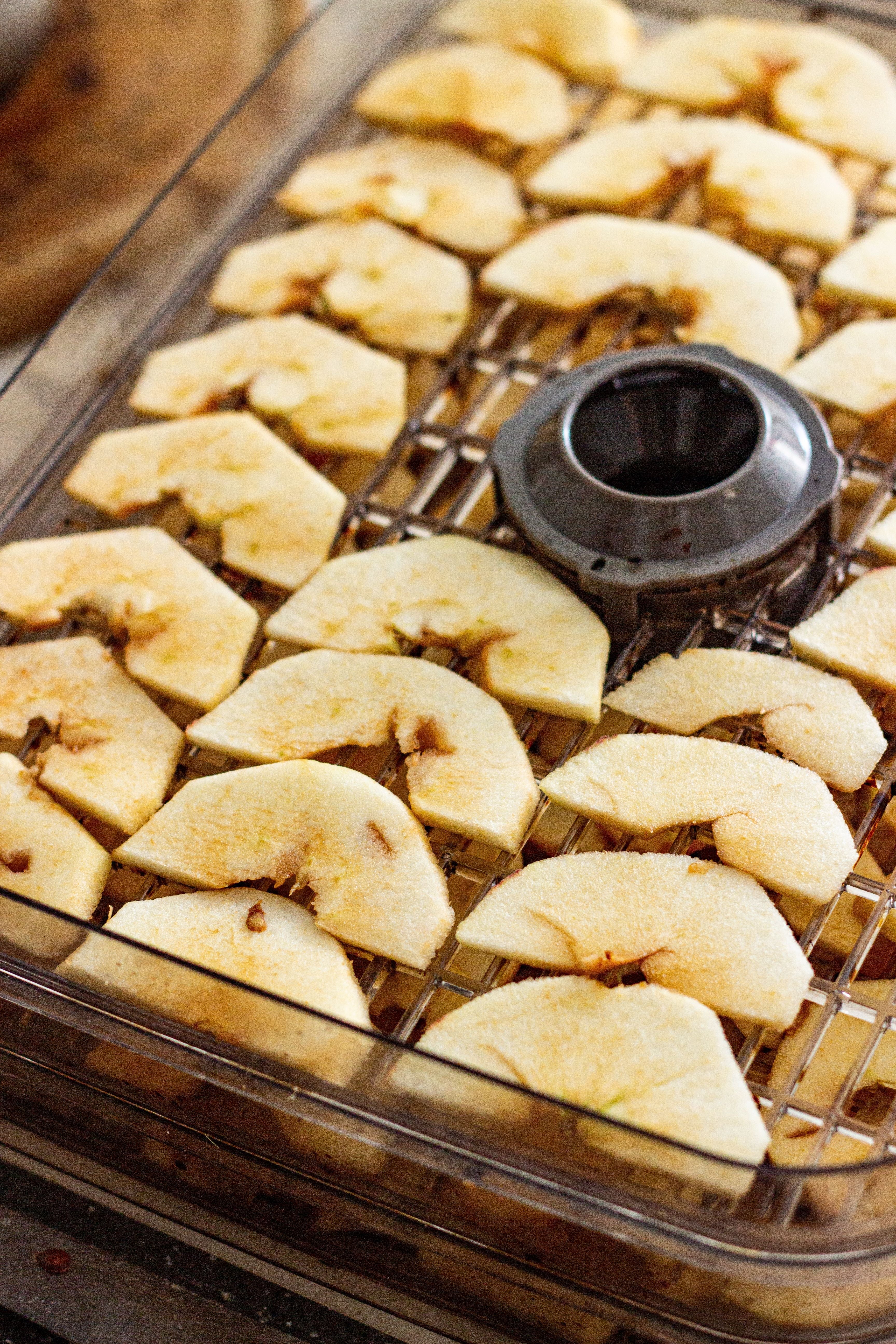 What Are Freeze-Dried Apples? Everything You Need to Know