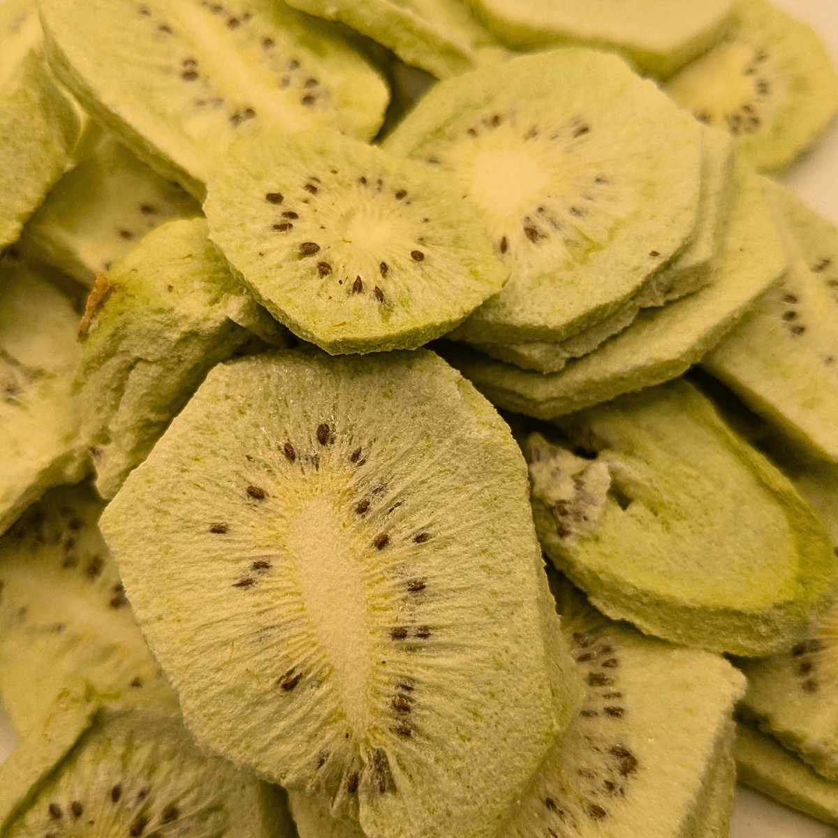 A pile of freeze dried kiwis, which are sliced and facing forward
