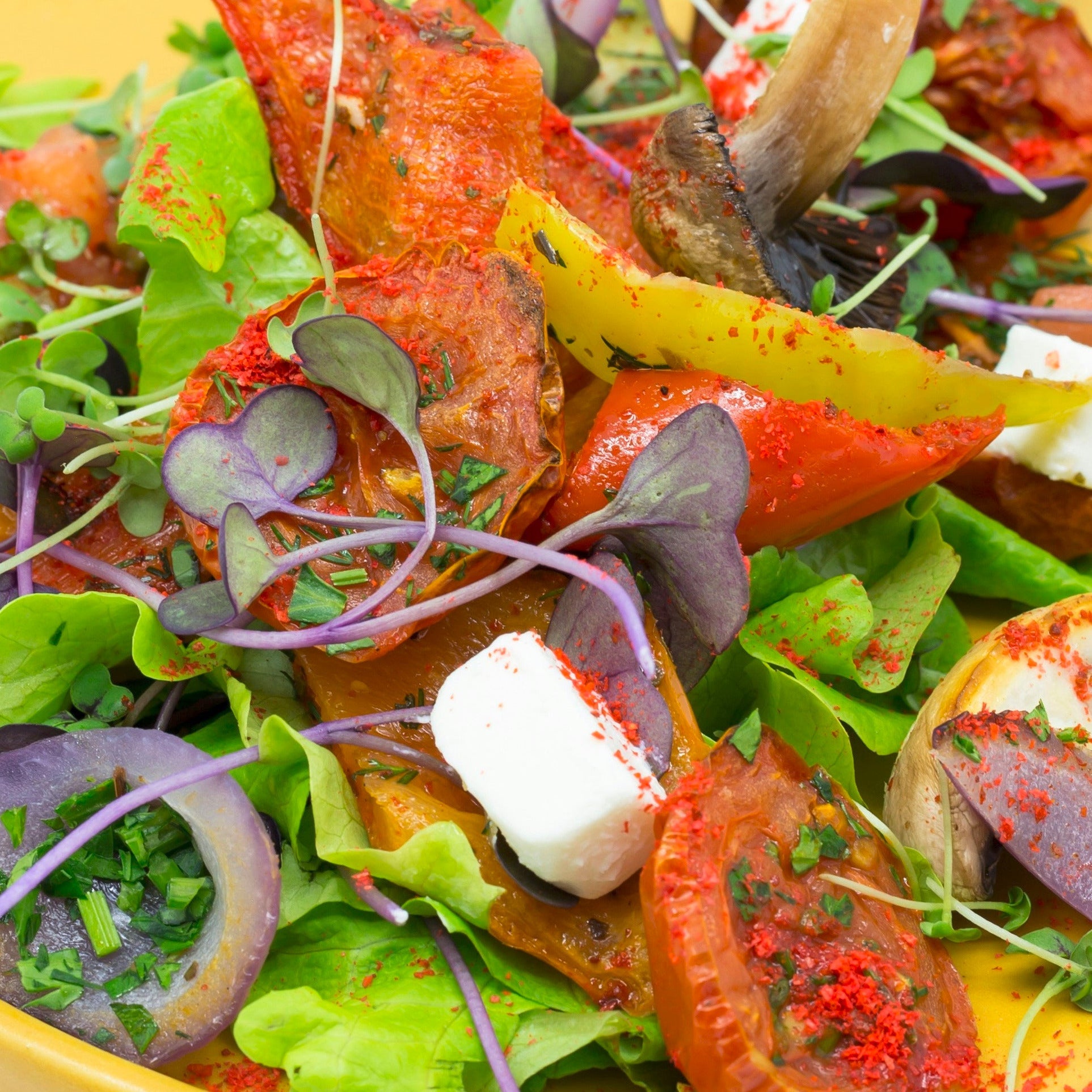 Best Microgreens for Salads and Salad Bowls