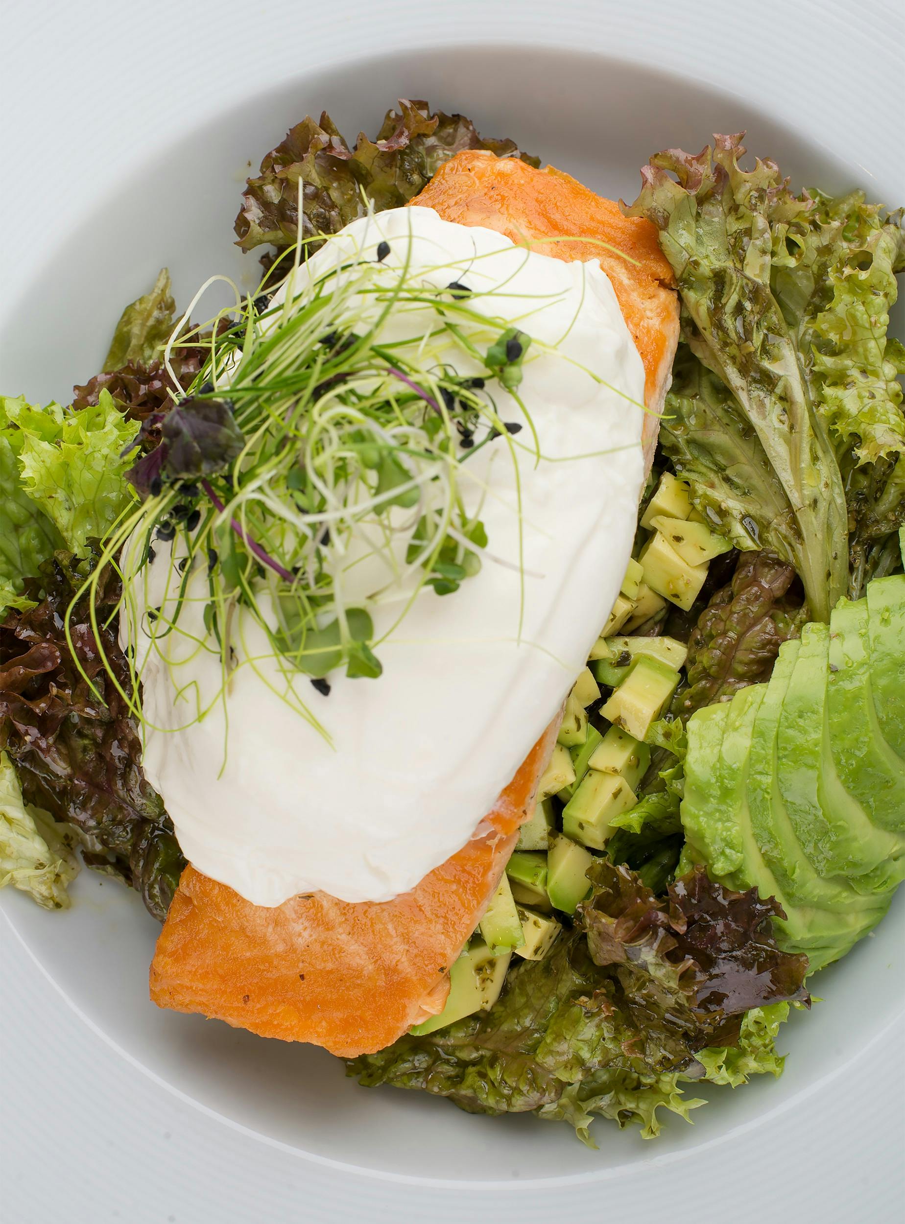 A bowl of salmon, lettuce, and avocado topped with microgreens and a white dressing