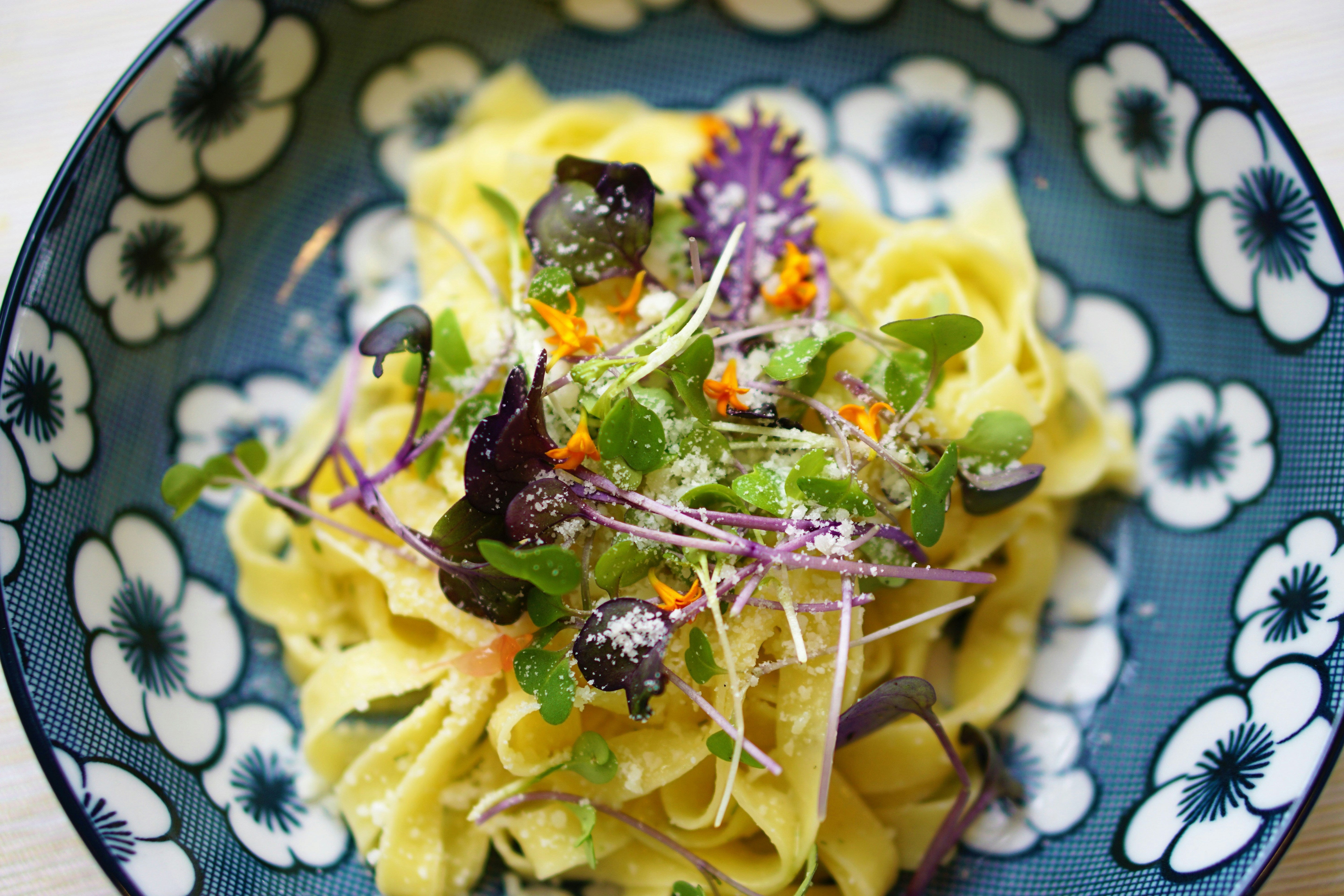 Long, flat pasta topped with green and purple microgreens on a blue flowery plate