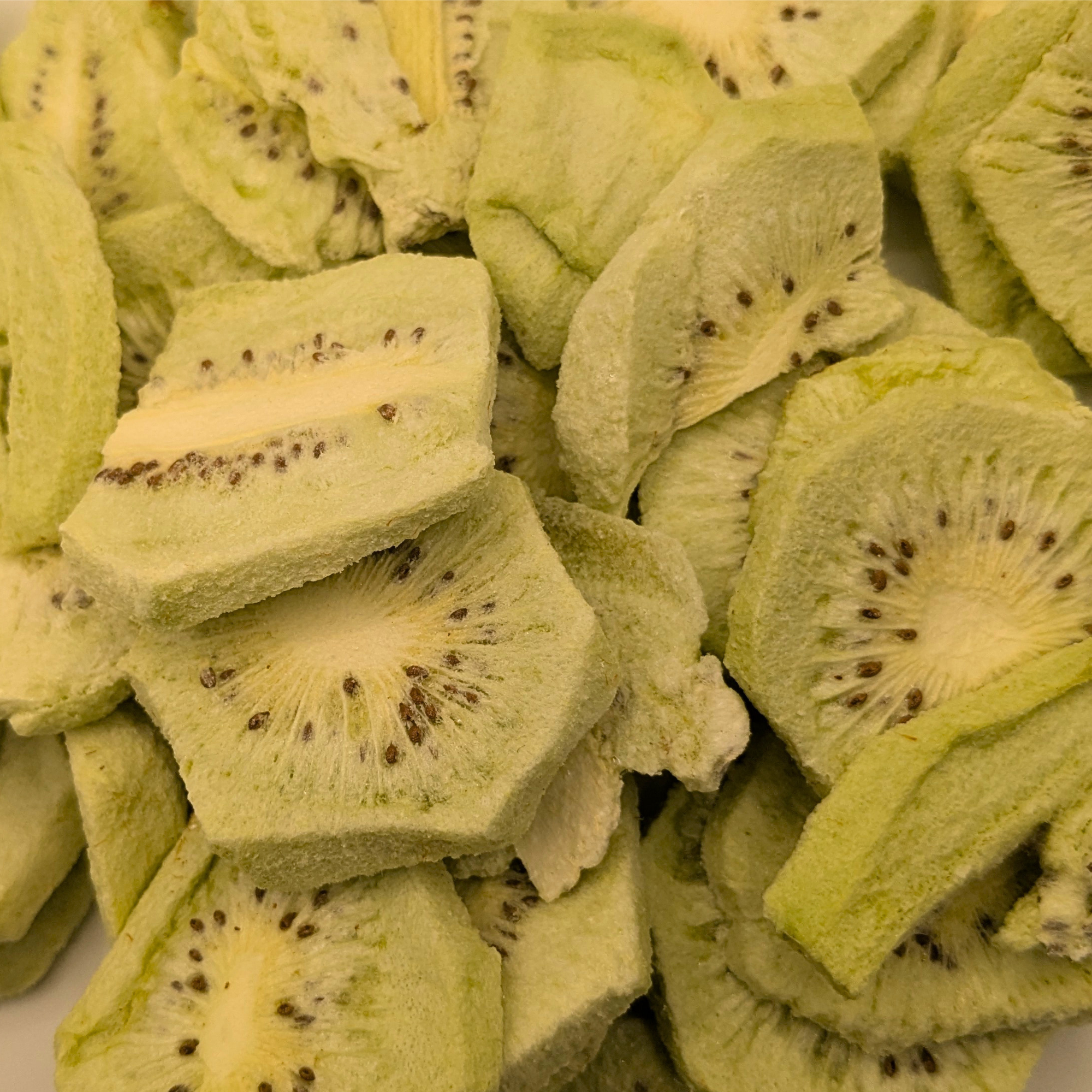 Close-up of sliced freeze dried kiwis with a focus on texture and color.