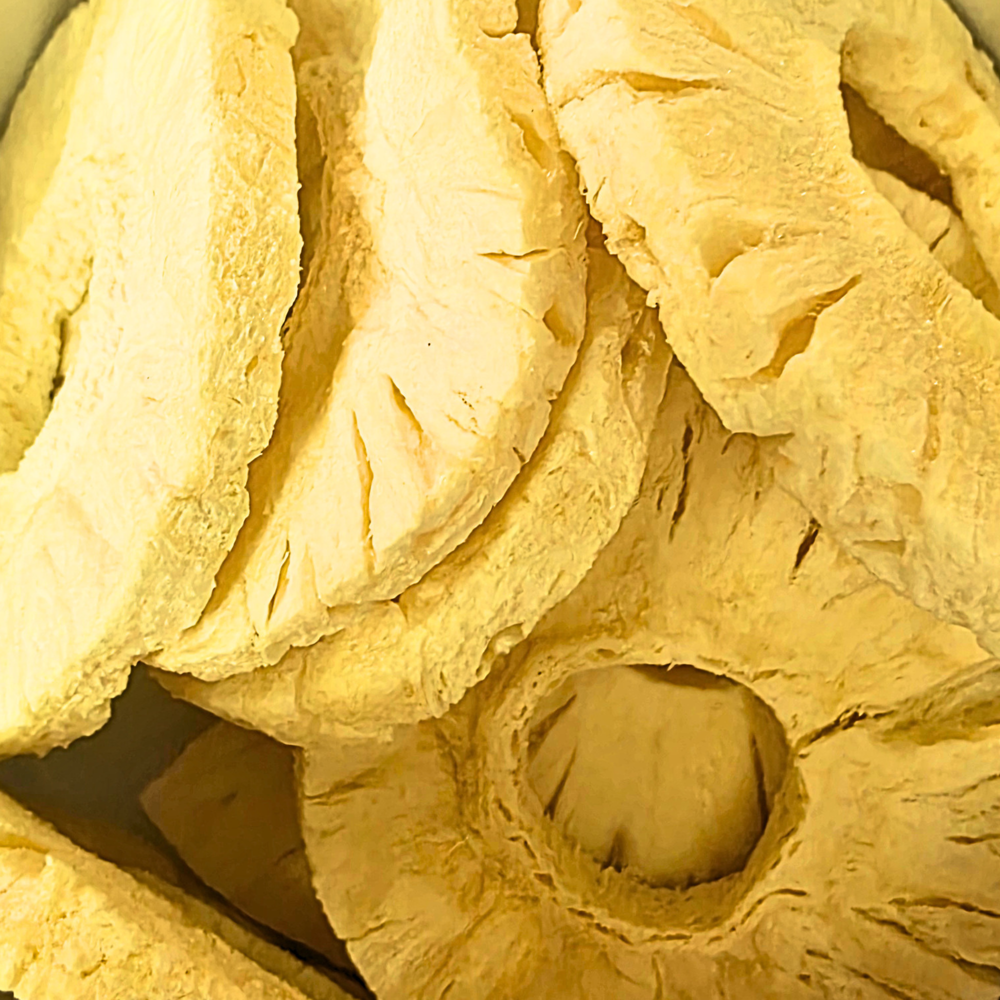 Freeze Dried pineapple slices