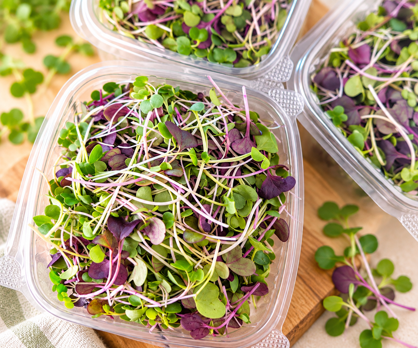 A container filled with assorted microgreens that are purple and green